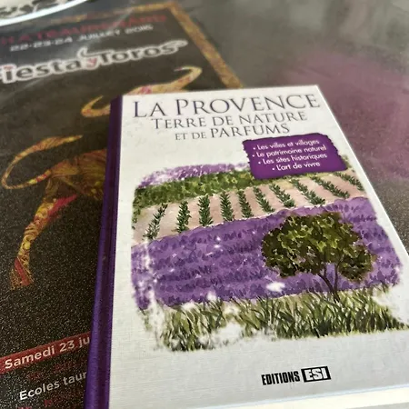 Apartment Spacieux En Provence *