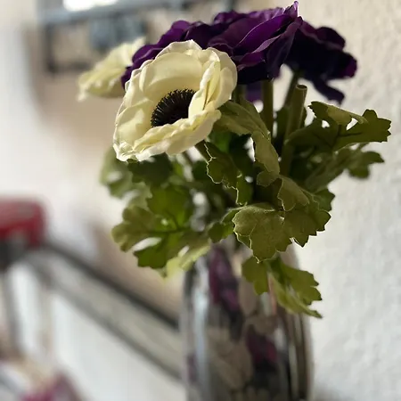 Apartment Spacieux En Provence Chateaurenard